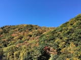 2017年11月25日　湯坂山の紅葉を東館川沿い和室432号室より撮影