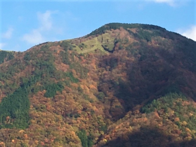 箱根の紅葉情報♪