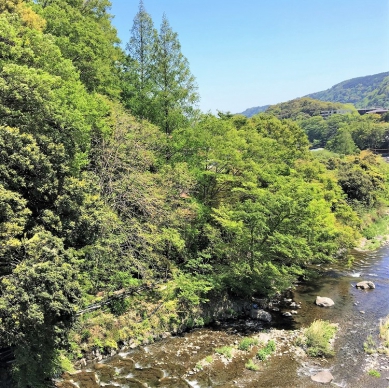 新緑の箱根へ、ようこそ。