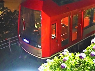 箱根登山電車「夜のあじさい号」◆箱根湯本のあじさいの見ごろは6月中旬～下旬