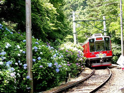 2020年7月23日（木・祝）箱根登山電車　箱根湯本駅ー強羅駅間　営業運転再開！