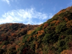 箱根湯本の紅葉と青空の下で、深呼吸。