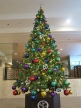 箱根パークス吉野にクリスマスツリーが登場！