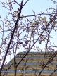 3月22日まん延防止等重点措置解除後の対応について