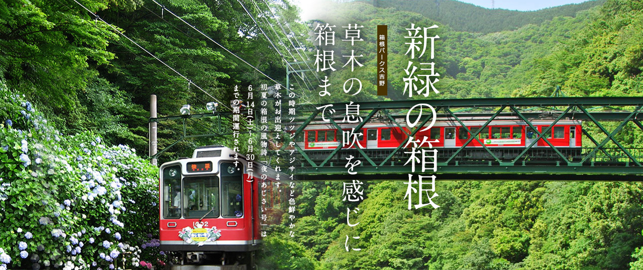 箱根の夏
