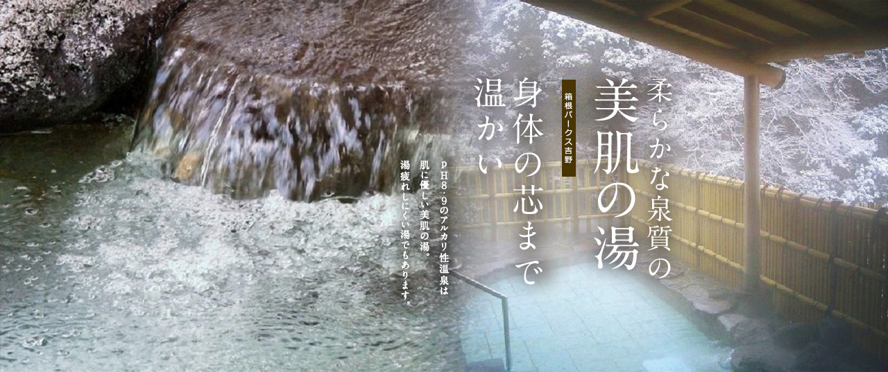 箱根の冬