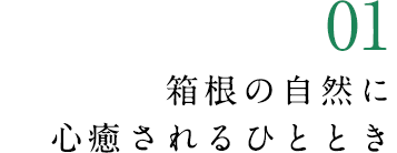 01 瀬音すがし憩いの客室。