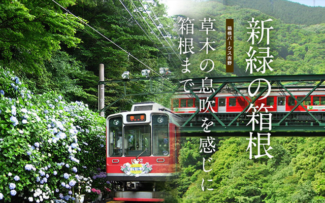 箱根の夏