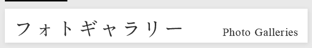 フォトギャラリー