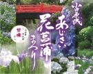 小田原城 あじさい花しょうぶまつり