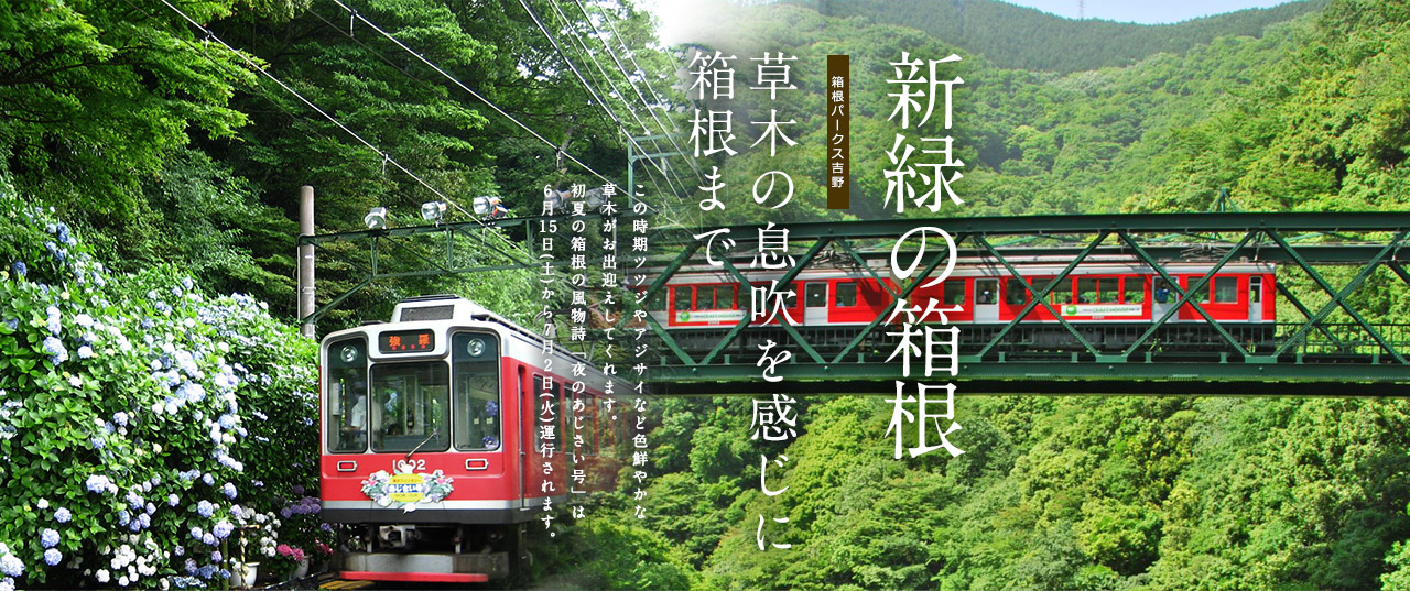 草木の息吹を感じに箱根まで