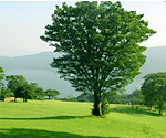 14箱根園