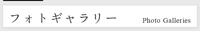 フォトギャラリー