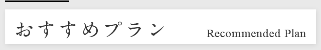 おすすめプラン